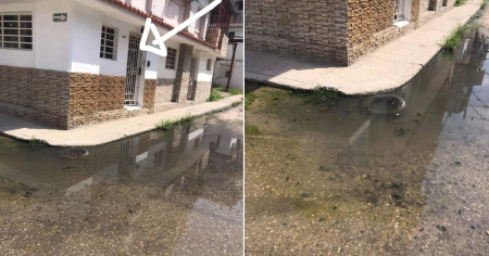 Disminuyen los casos de dengue y oropouche en Cuba, aunque el problema persiste