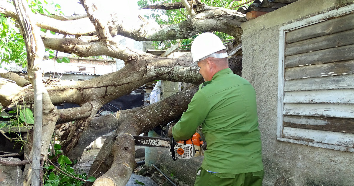 Cae un árbol sobre una casa durante Tormenta Tropical Laura © Facebook / Cienfuegos Encanta