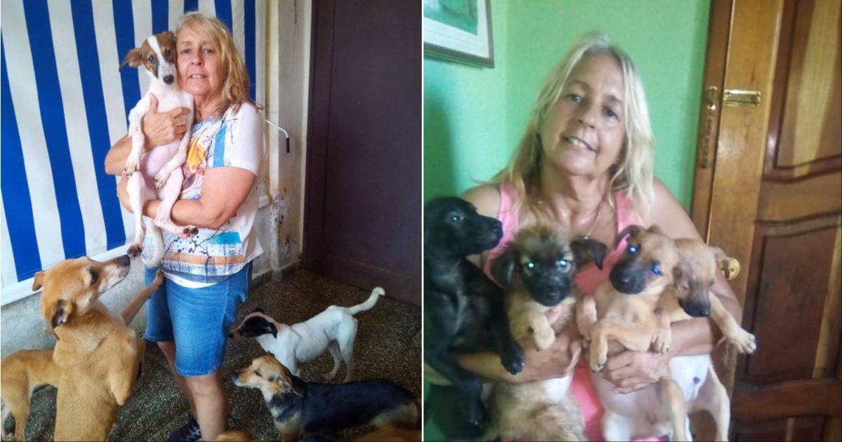 Yeraldine Fleitas y algunas de sus mascotas © Facebook / Yeraldine Fleitas Valdes