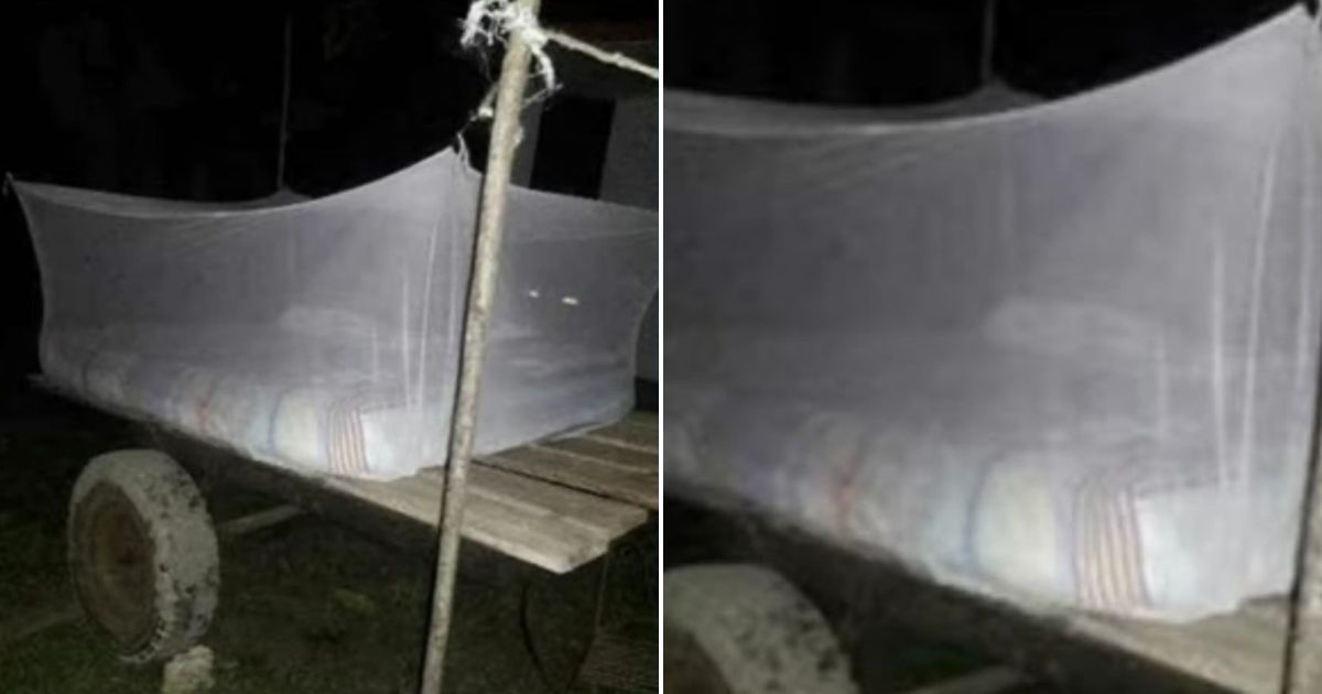 Sleeping Outdoors with Mosquito Nets: A Desperate Measure for Cuba's Nightly Blackouts