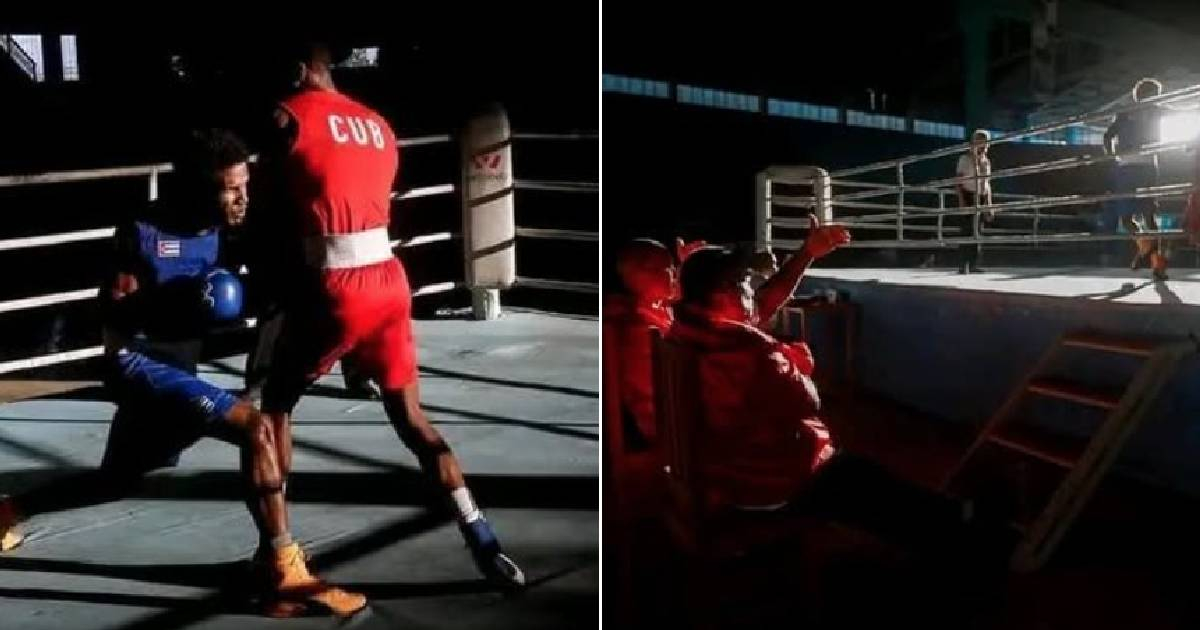 Boxeadores cubanos © Facebook/Swing Completo