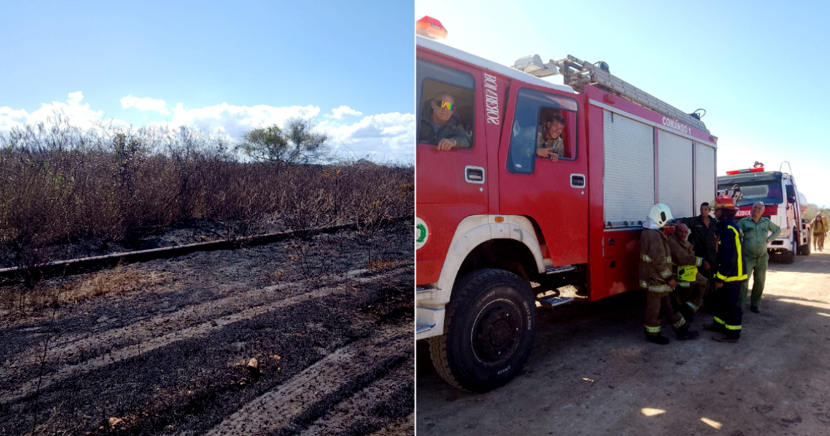 Imágenes del siniestro y bomberos que aplacaron las llamas © Facebook / Pedro Rizo Martinez