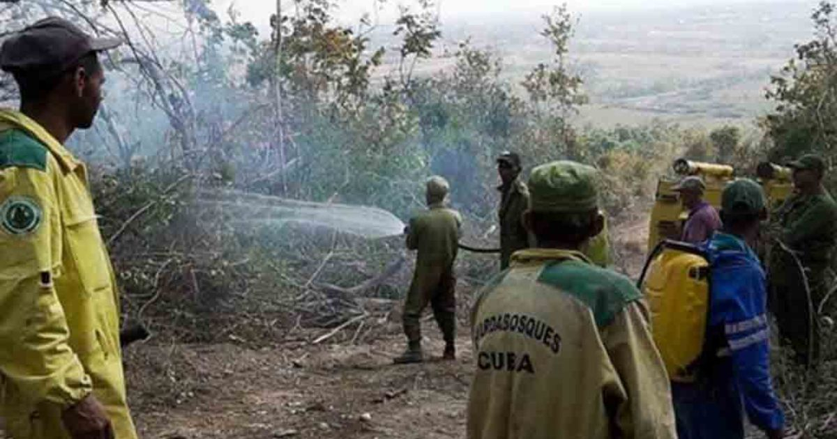 Incendio forestal (Imagen de referencia) © Prensa Latina